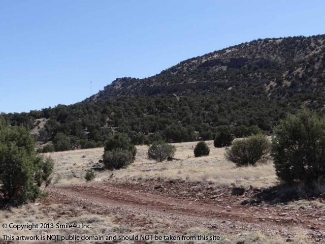 Beautiful Mesa Redonda to the west of this gorgeous 37+ acre chunk of land in Apache County Arizona between Show Low and Concho.
